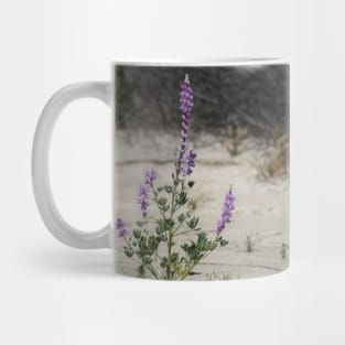 Purple Lupine in the Desert Oasis Mug